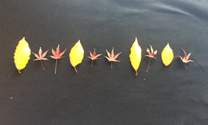 Repeating patterns - Time and Tide Bell